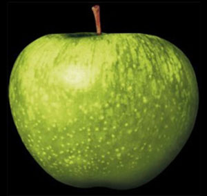 Apple Records