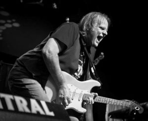 Walter Trout