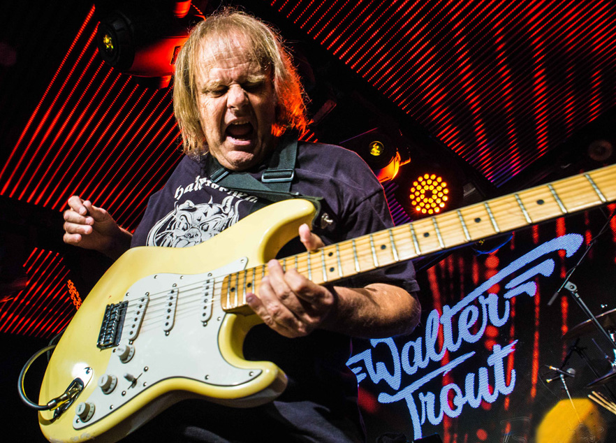 Walter Trout